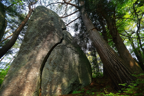f0075075_1637594.jpg