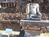 f0222378_10564135.jpg