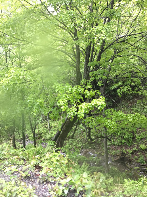 e0024081_16232045.jpg