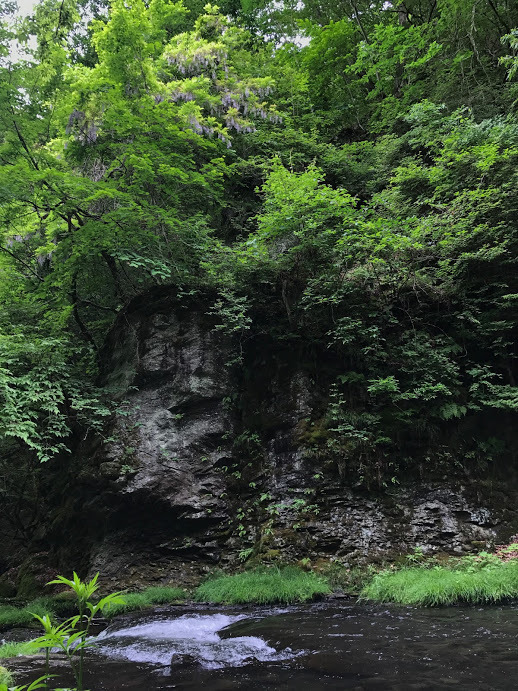 e0024081_16243854.jpg