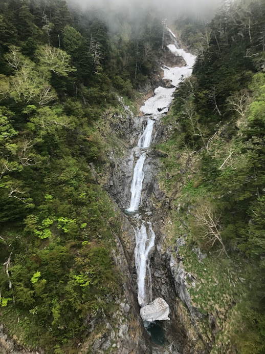 e0024081_16454894.jpg
