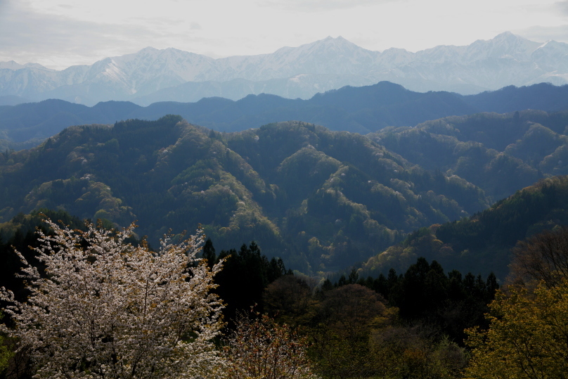 e0165983_10153110.jpg