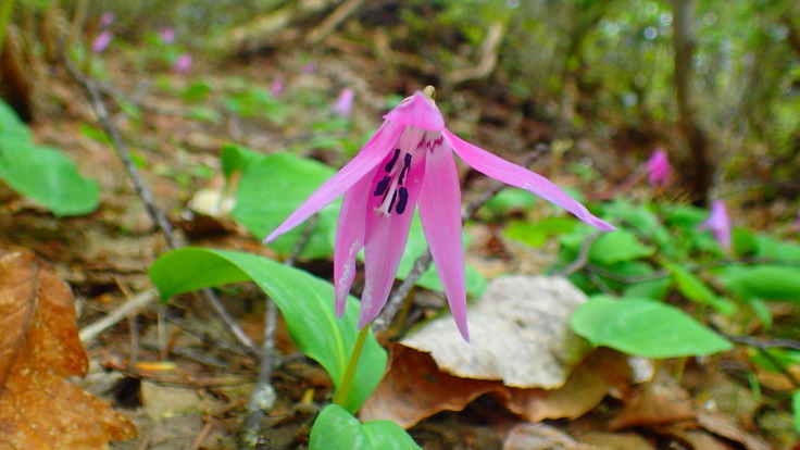 a0242984_00190400.jpg