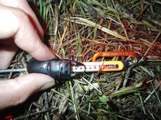 f0183484_23062017.jpg