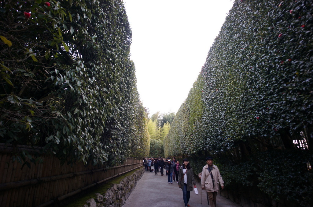 c0180686_16185493.jpg