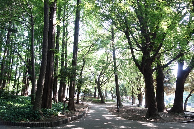 d0183387_19094143.jpg