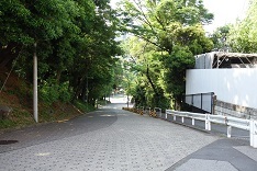 d0183387_19411171.jpg