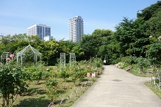 d0183387_22184280.jpg