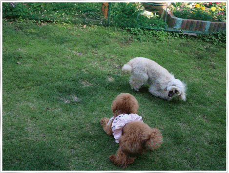 b0175688_23410381.gif