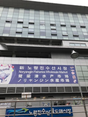 a0113889_18501866.png