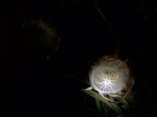 c0064389_1415881.jpg