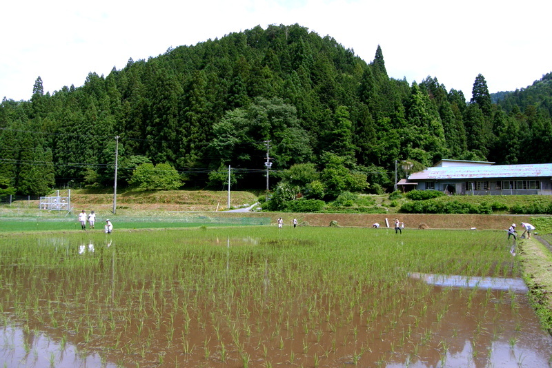 c0057390_07580664.jpg