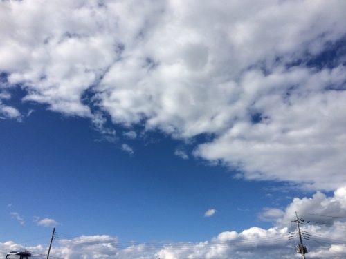 f0215094_16262425.jpg