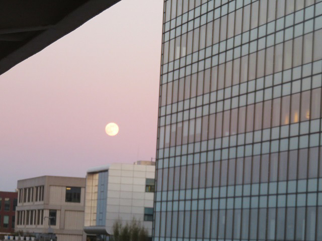 f0346196_11262847.jpg