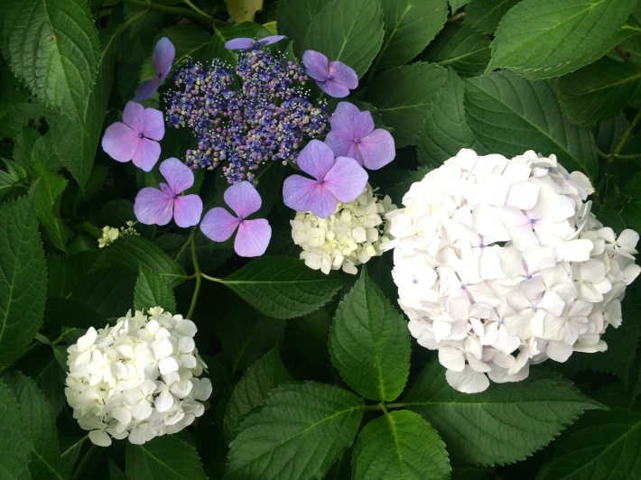 f0201297_07532168.jpg