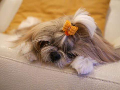 c0090198_20245610.jpg