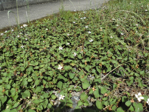 c0108198_16474229.jpg