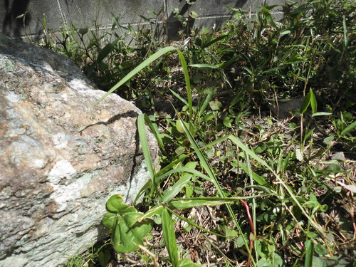 c0108198_16482637.jpg