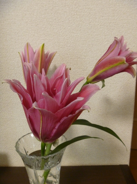 f0373098_17445757.jpg