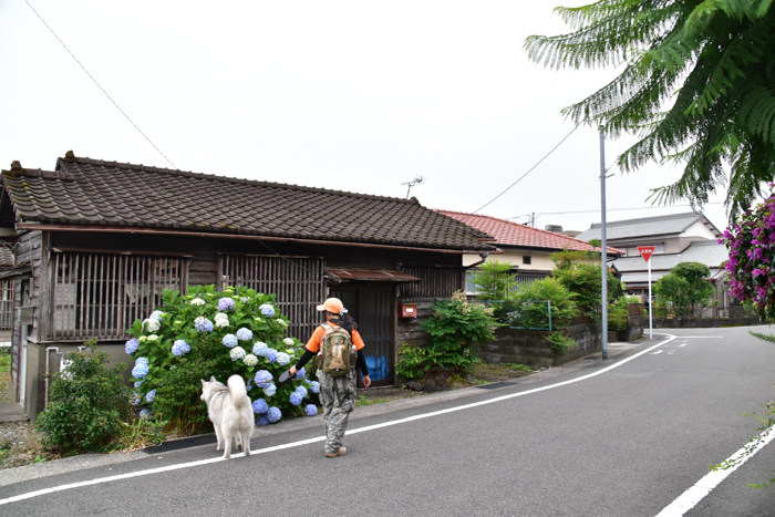 c0049299_22285535.jpg