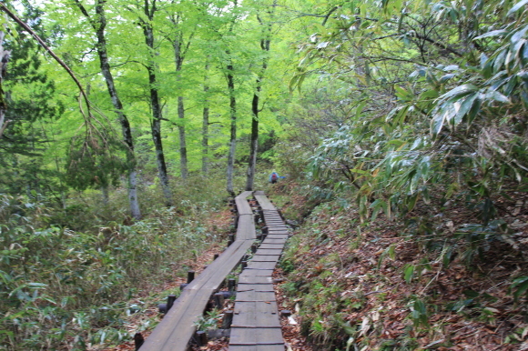 f0370599_12202876.jpg