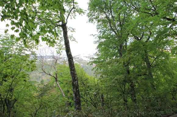 f0370599_12205907.jpg
