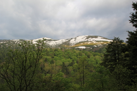 f0370599_12223179.jpg