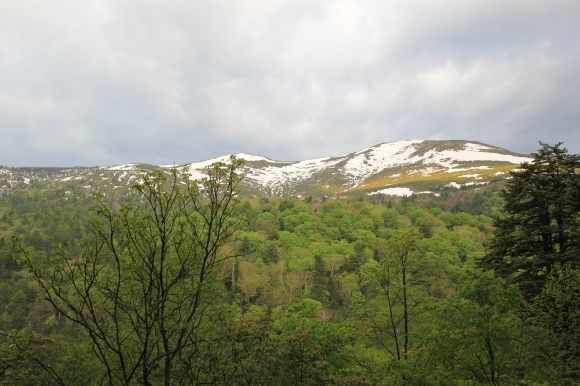 f0370599_12224048.jpg