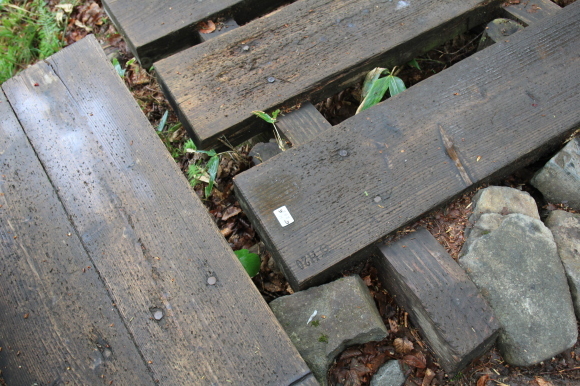 f0370599_12234313.jpg