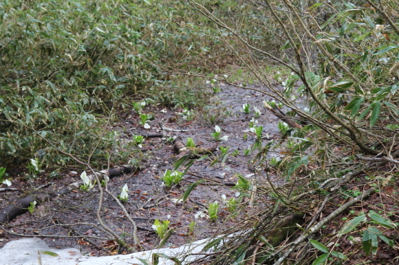 f0370599_12251074.jpg