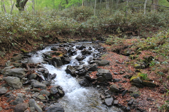 f0370599_12252663.jpg
