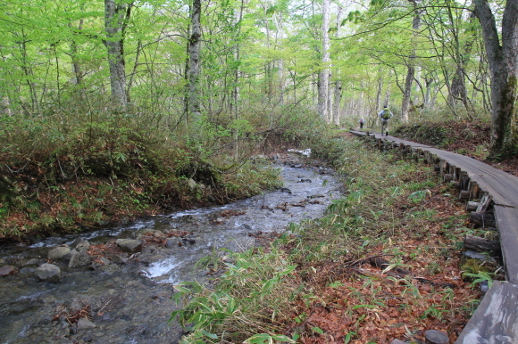 f0370599_12265979.jpg