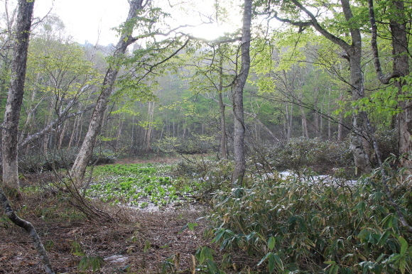 f0370599_12271067.jpg