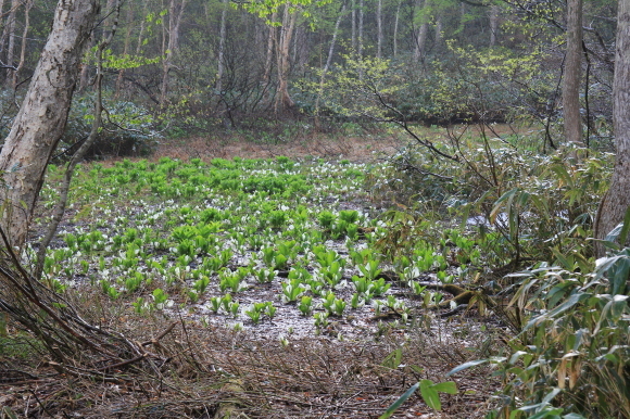 f0370599_12272086.jpg