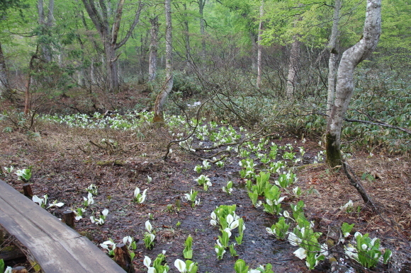 f0370599_12285897.jpg