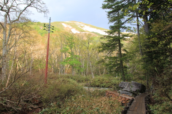 f0370599_12325950.jpg