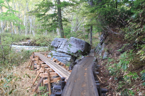 f0370599_12331168.jpg