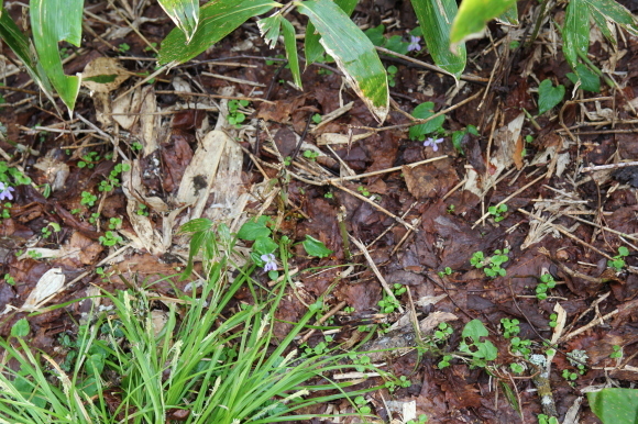 f0370599_12332976.jpg