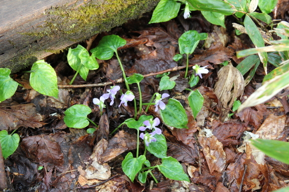 f0370599_12335370.jpg