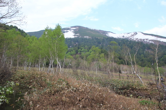 f0370599_12404659.jpg
