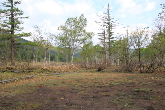 f0370599_12442907.jpg