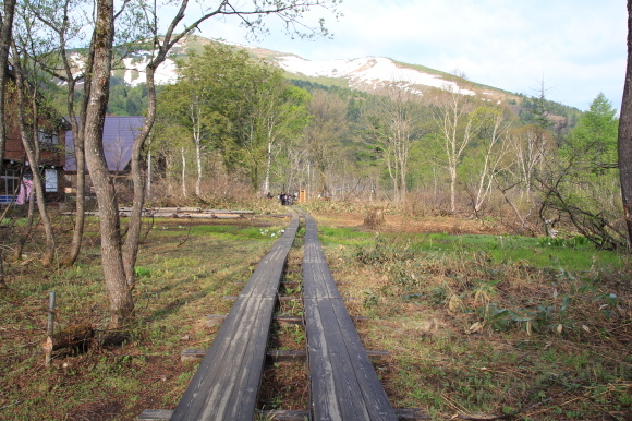f0370599_12461916.jpg