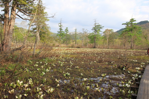 f0370599_12463293.jpg