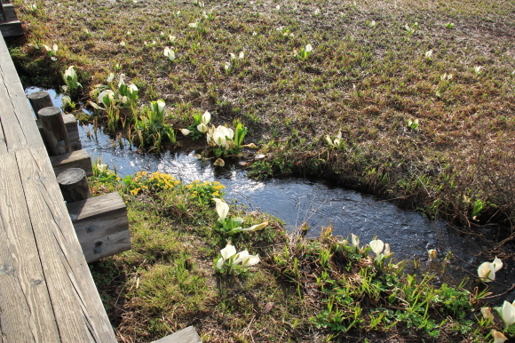 f0370599_12482669.jpg