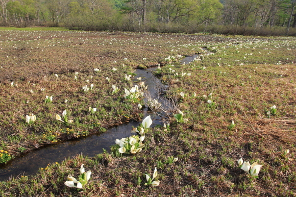 f0370599_12484534.jpg
