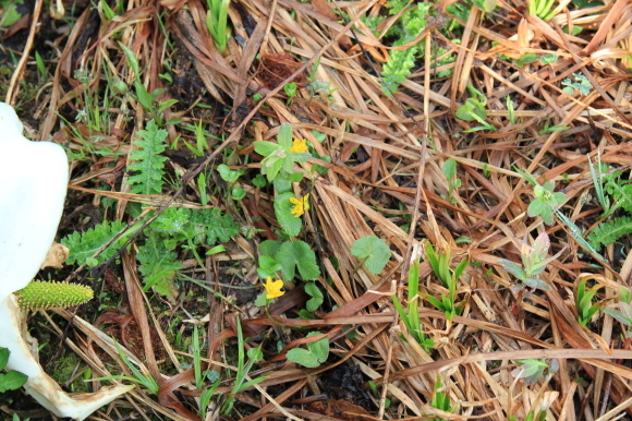 f0370599_12494987.jpg