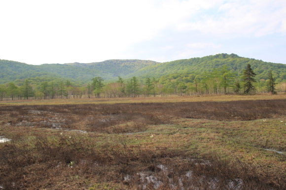 f0370599_12573774.jpg