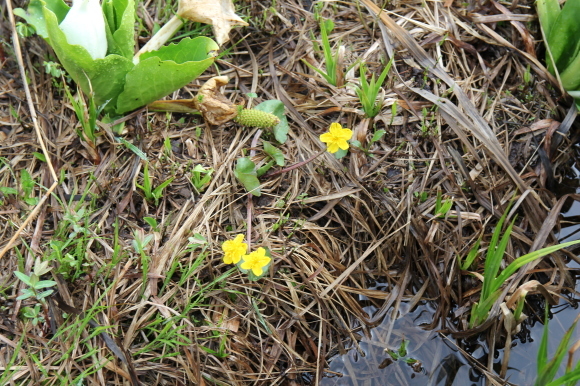 f0370599_12574903.jpg