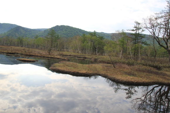 f0370599_12585504.jpg