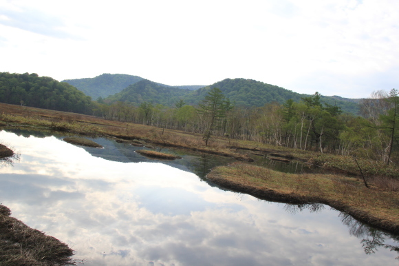 f0370599_12590284.jpg